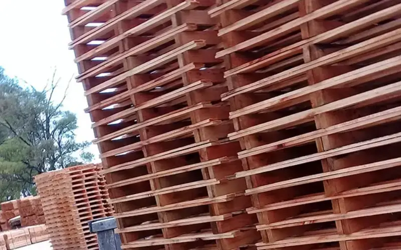 Pallets Ceráamicos Aserradero San José Pallets Ceráamicos Aserradero San José